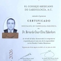 Ampliar imagen: certificate 1