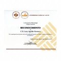 Ampliar imagen: certificate 22
