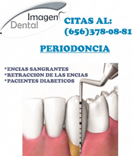 Leonel Palma Carlos-5