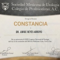 Ampliar imagen: certificate 8