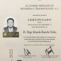 Ampliar imagen: certificate 7