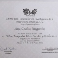 Ampliar imagen: certificate 7