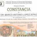 Ampliar imagen: certificate 110