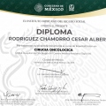Ampliar imagen: certificate 5