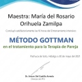Ampliar imagen: certificate 12
