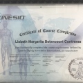 Ampliar imagen: certificate 1