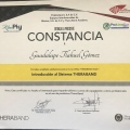 Ampliar imagen: certificate 11