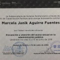 Ampliar imagen: certificate 7