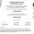 Ampliar imagen: certificate 3