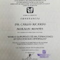 Ampliar imagen: certificate 11
