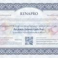 Ampliar imagen: certificate 3