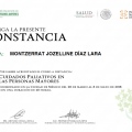 Ampliar imagen: certificate 4