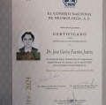 Ampliar imagen: certificate 3