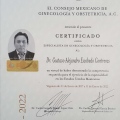 Ampliar imagen: certificate 2