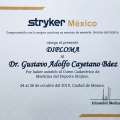 Ampliar imagen: certificate 6