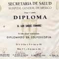 Ampliar imagen: certificate 6
