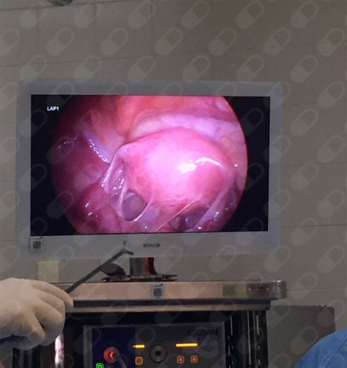 Sandra Aguilera Cervantes-3