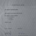 Ampliar imagen: certificate 19