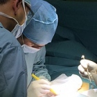 Dr. Rodrigo Serrano Ortiz