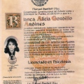 Ampliar imagen: certificate 5