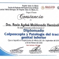 Ampliar imagen: certificate 4