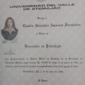 Ampliar imagen: certificate 4