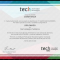 Ampliar imagen: certificate 4