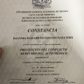 Ampliar imagen: certificate 5