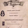 Ampliar imagen: certificate 5