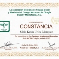 Ampliar imagen: certificate 8