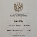 Ampliar imagen: certificate 3