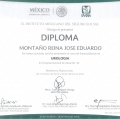 Ampliar imagen: certificate 5