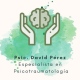 David Pérez