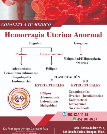 Francisco Carbajal-43