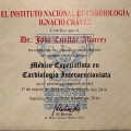 Ampliar imagen: certificate 5
