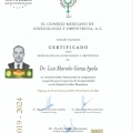 Ampliar imagen: certificate 3