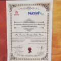 Ampliar imagen: certificate 2