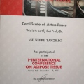 Ampliar imagen: certificate 8