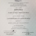 Ampliar imagen: certificate 3