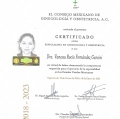 Ampliar imagen: certificate 15