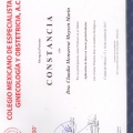 Ampliar imagen: certificate 13
