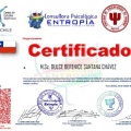 Ampliar imagen: certificate 28