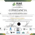 Ampliar imagen: certificate 4