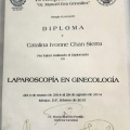 Ampliar imagen: certificate 5