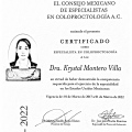 Ampliar imagen: certificate 5