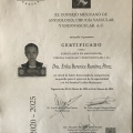 Ampliar imagen: certificate 2