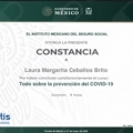 Ampliar imagen: certificate 7
