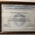 Ampliar imagen: certificate 5
