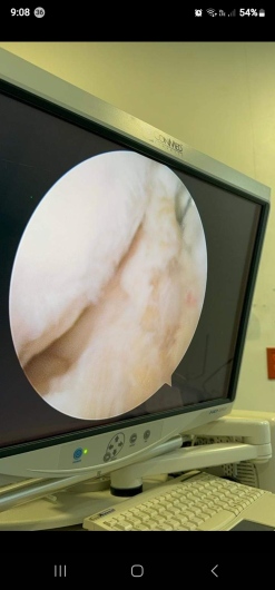 Jaime Galvan Alaniz-5