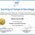 Ampliar imagen: certificate 5
